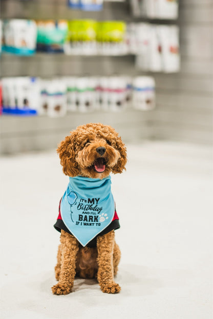 Dexypaws - Birthday Bandana "It'S My Birthday I'Ll Bark If I Want To"