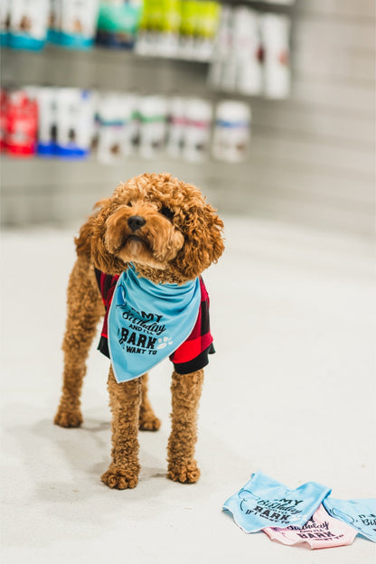 Dexypaws - Birthday Bandana "It'S My Birthday I'Ll Bark If I Want To"