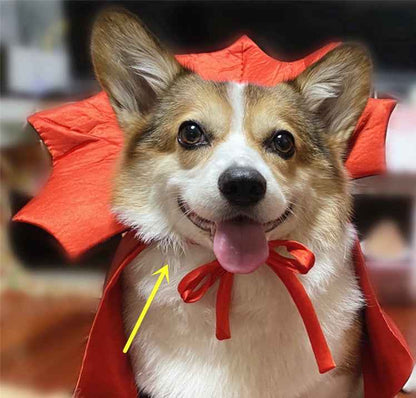 Costume d'Halloween pour chien et chat – Cape de roi vampire au motif noir effrayant