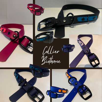 Biothane dog collar - Handmade in Quebec