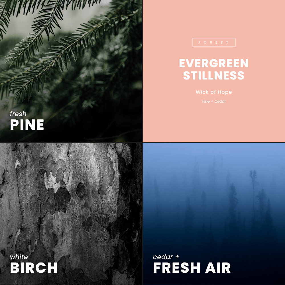 Evergreen Stillness Candle | Pine + Cedar