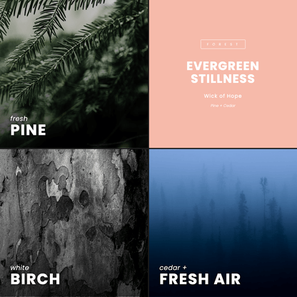 Evergreen Stillness Candle | Pine + Cedar