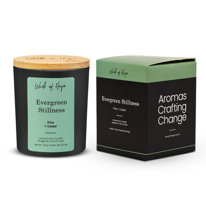 Evergreen Stillness Candle | Pine + Cedar