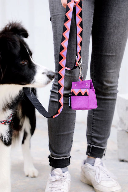 Momopets™ Série Arc-en-ciel – Distributeur de sacs à déjections canines en feutre