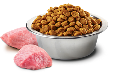 Farmina - Pumpkin Lamb & Blueberry Medium & Maxi Puppy Dry Dog Food