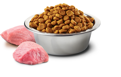 Farmina - Pumpkin Chicken & Pomegranate Medium & Maxi Dry Dog Food