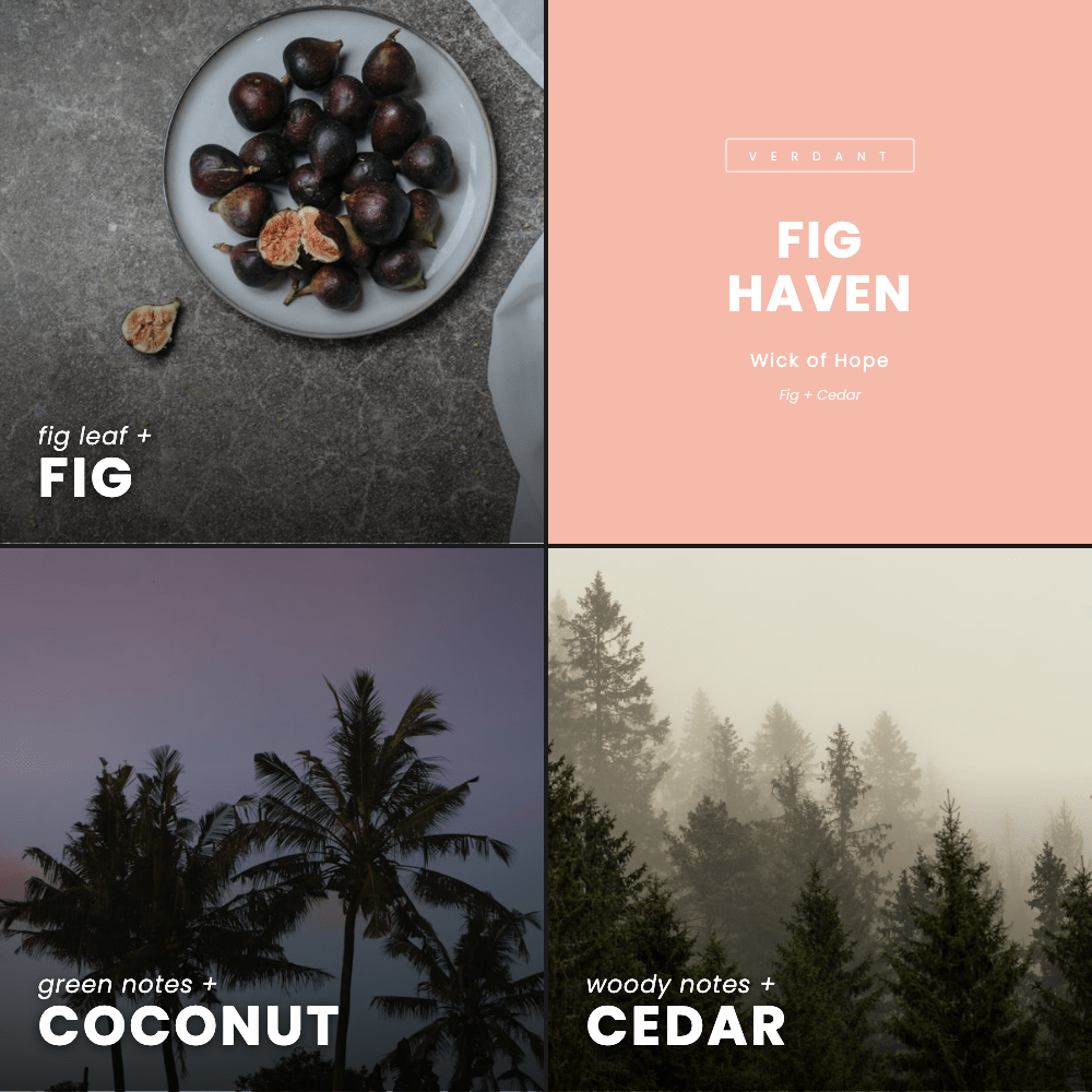 Fig Haven Candle | Fig + Cedar