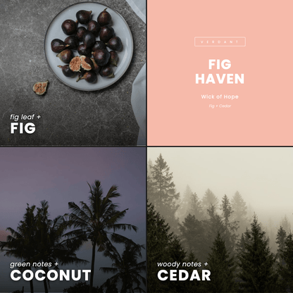 Fig Haven Candle | Fig + Cedar