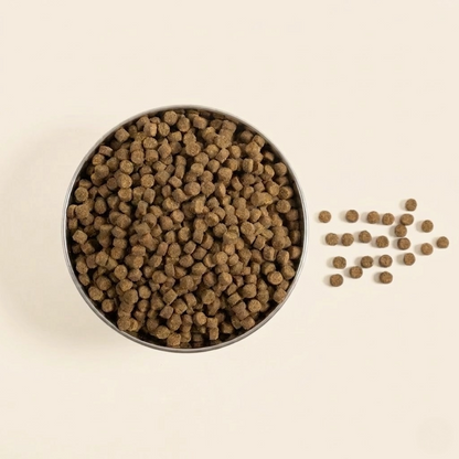 Super Premium Dog Food