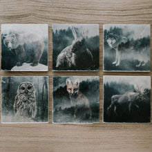 Marble Coasters - Lost & Found - Forest Bear