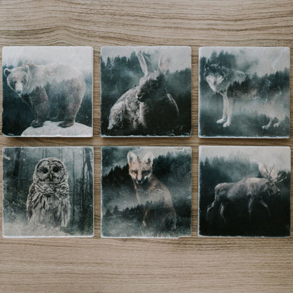 Marble Coasters - Lost & Found - Forest Moose
