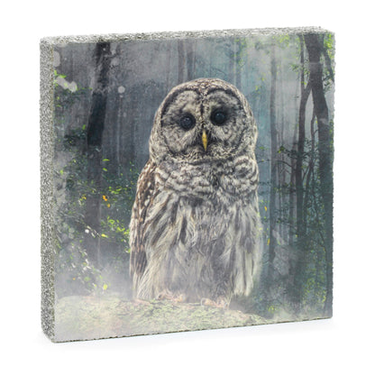 Art Block - Lost & Found - Forest Owl