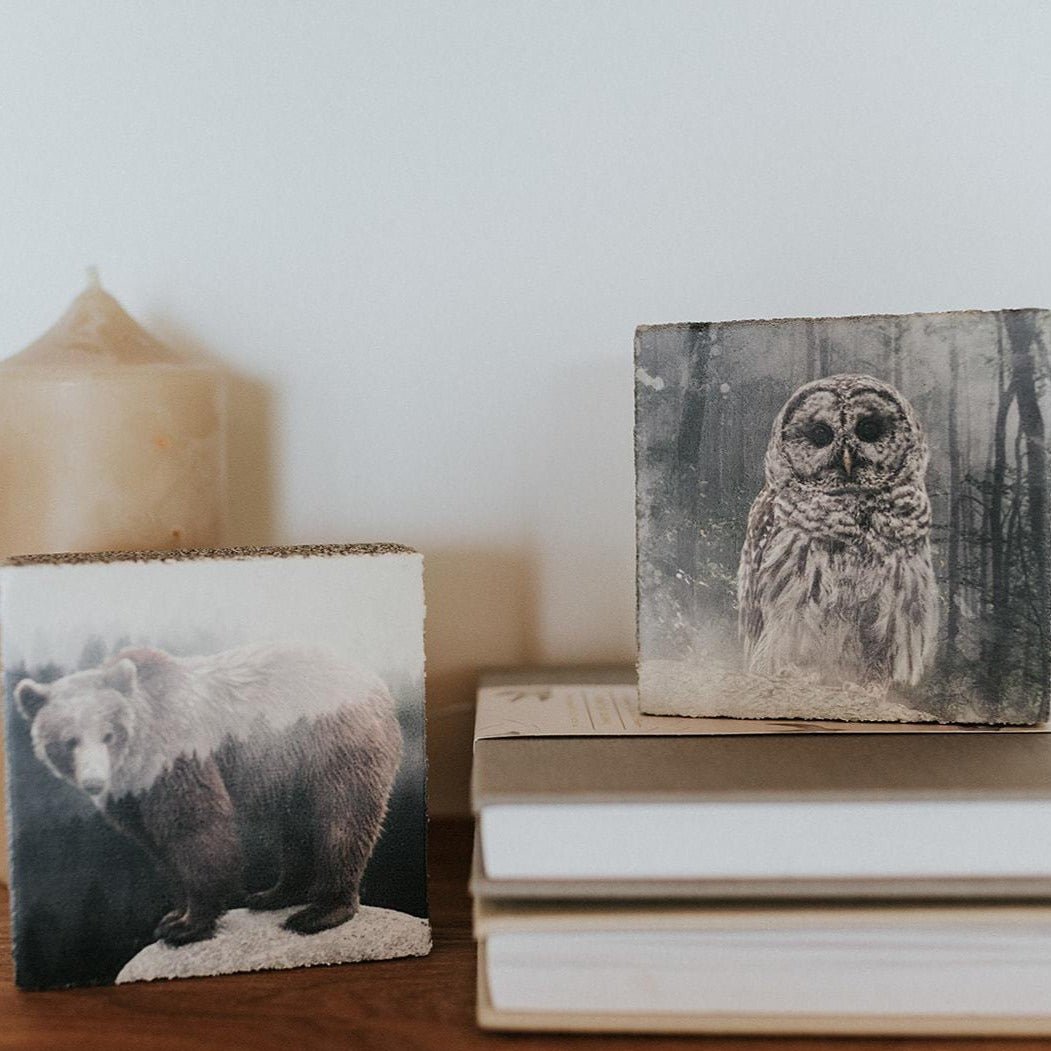 Art Block - Lost & Found - Forest Owl