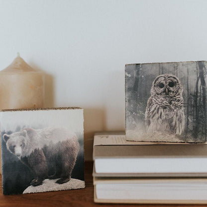 Art Block - Lost & Found - Forest Owl