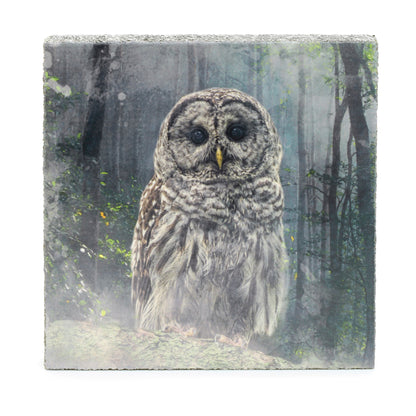 Art Block - Lost & Found - Forest Owl