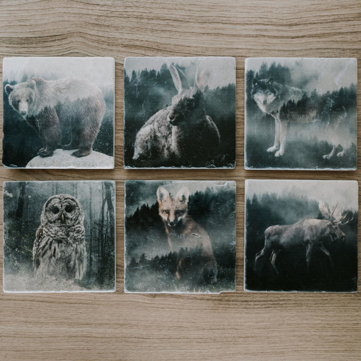 Marble Coasters - Lost & Found - Forest Owl