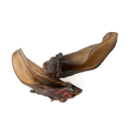 Giant Beef Ear
