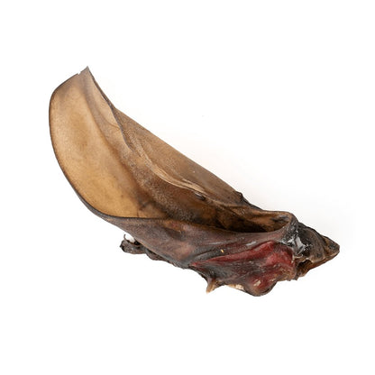 Giant Beef Ear