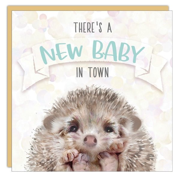 Gift Enclosure - Lost & Found - There's a new baby in town