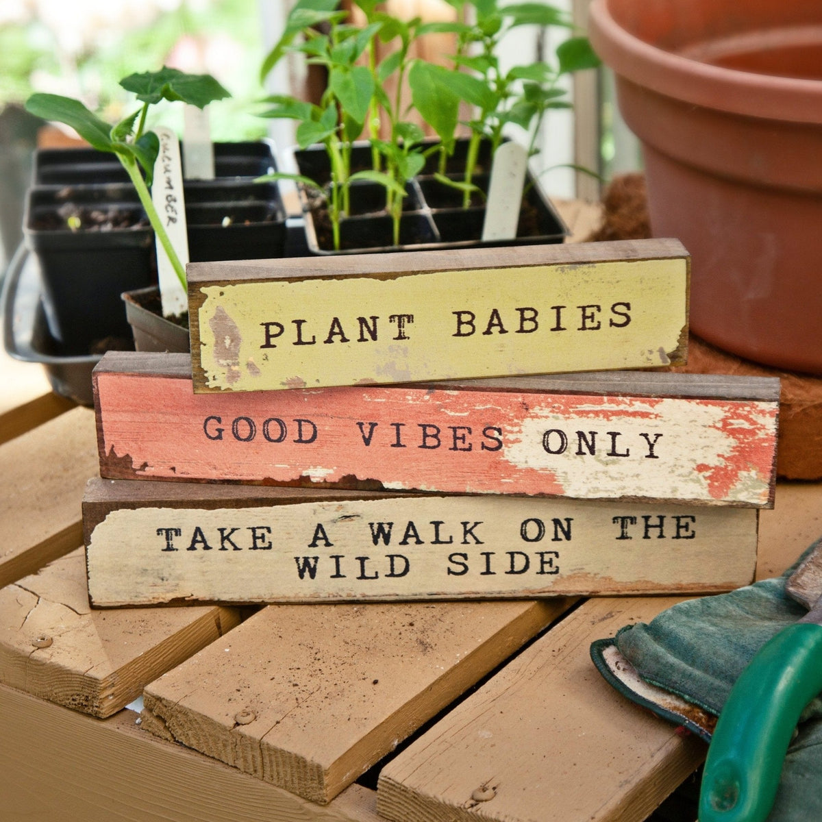 Timber Bit - Large - Good Vibes Only