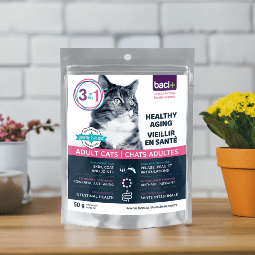 3-en-1 – Soutien Articulaire, Digestif & Cardiaque pour Chats Seniors