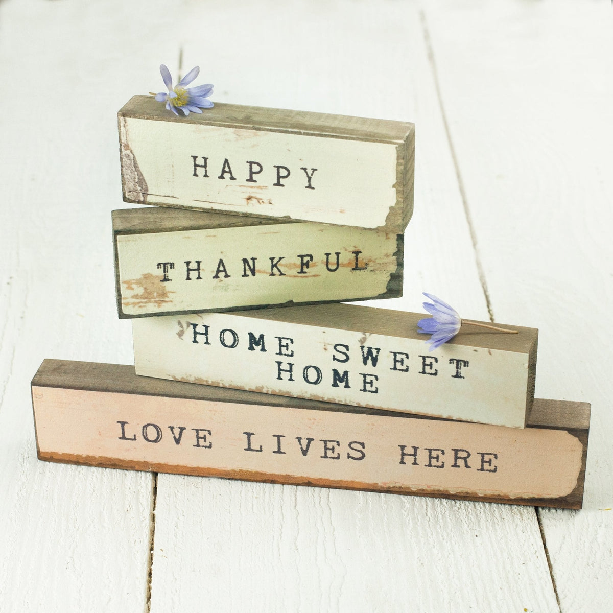 Timber Bit - Small - Happy