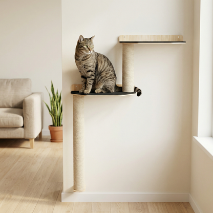 Parcours mural pour chat avec griffoir
