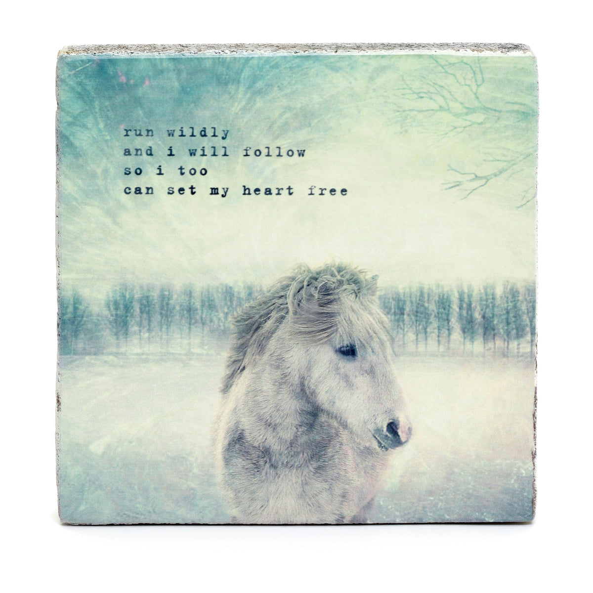 Art Block - Lost & Found - Horse