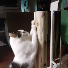 Model 28 - 19" Cedar Scratch Posts for Cats