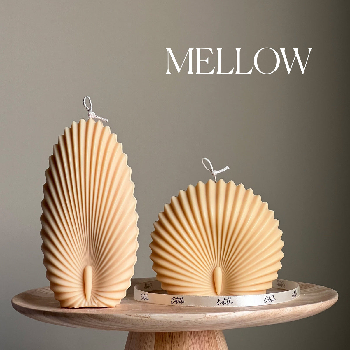 Sea Shell Candle Duo: Decorative Soy Wax Clam Shell Candles