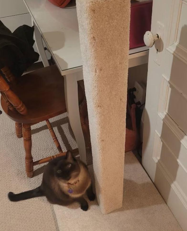 Model 33 - 42" Tall Scratch Post