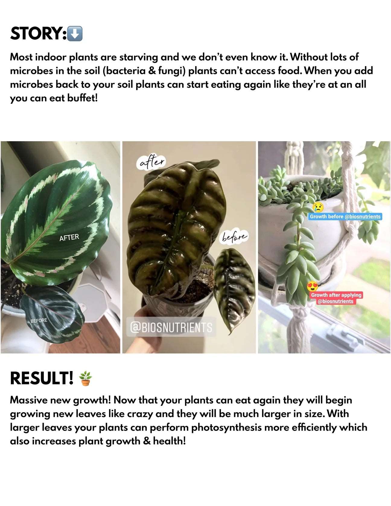 Engrais Végétal Naturel Bios