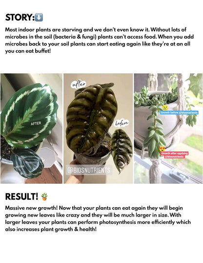 Engrais Végétal Naturel Bios