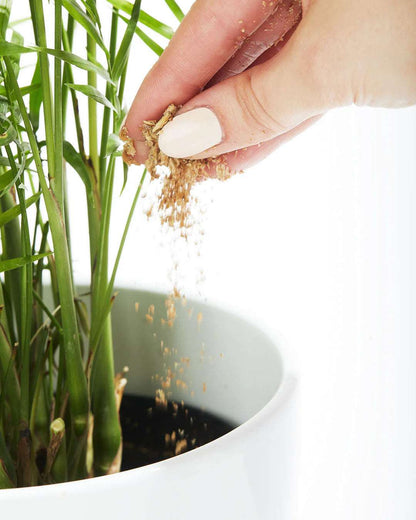 Engrais Végétal Naturel Bios