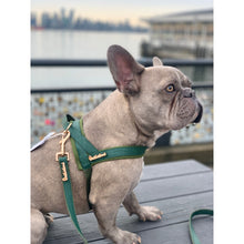 Collier de chien en jade