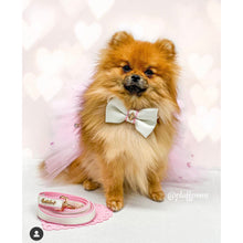 My baby girl bow tie