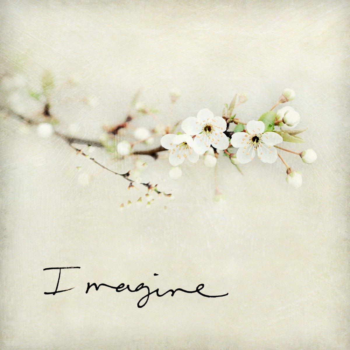 Marble Coasters - Lost & Found - Imagine