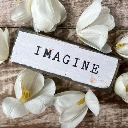 Timber Bit - Small - Imagine