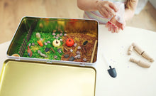 ImagiTin Farm sensory kit