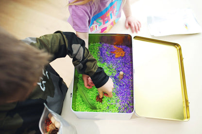 ImagiTin Nature Sensory kit