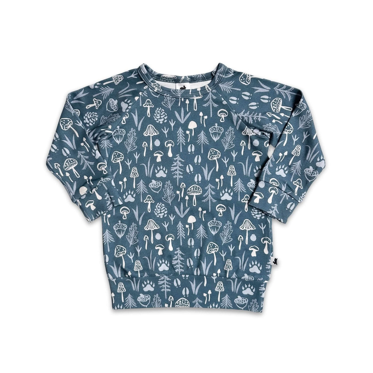 Baby/Kids' Bamboo Raglan Pullover | Pastel Blooms