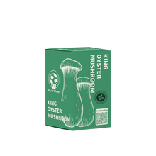 King Oyster Mushroom Kit