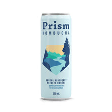 Kombucha - Variety (8 Pack)