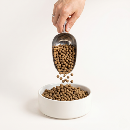 Super Premium Dog Food