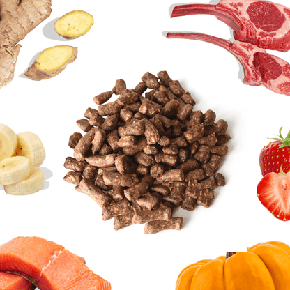 Lamb+Salmon Meal Bites