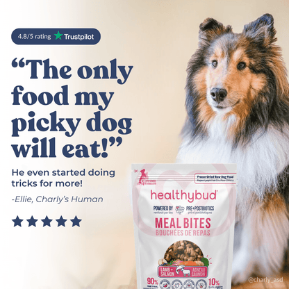 Lamb+Salmon Meal Bites