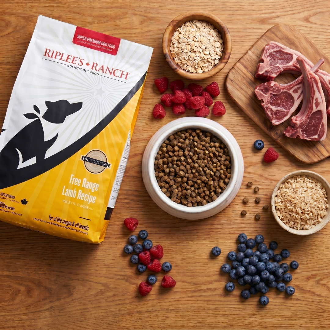 Super Premium Dog Food