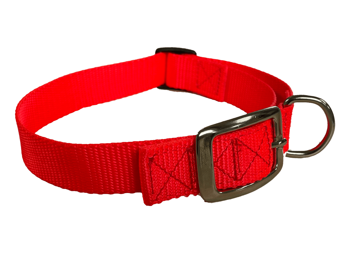 Flat Buckle Dog Collar (Adjustable)