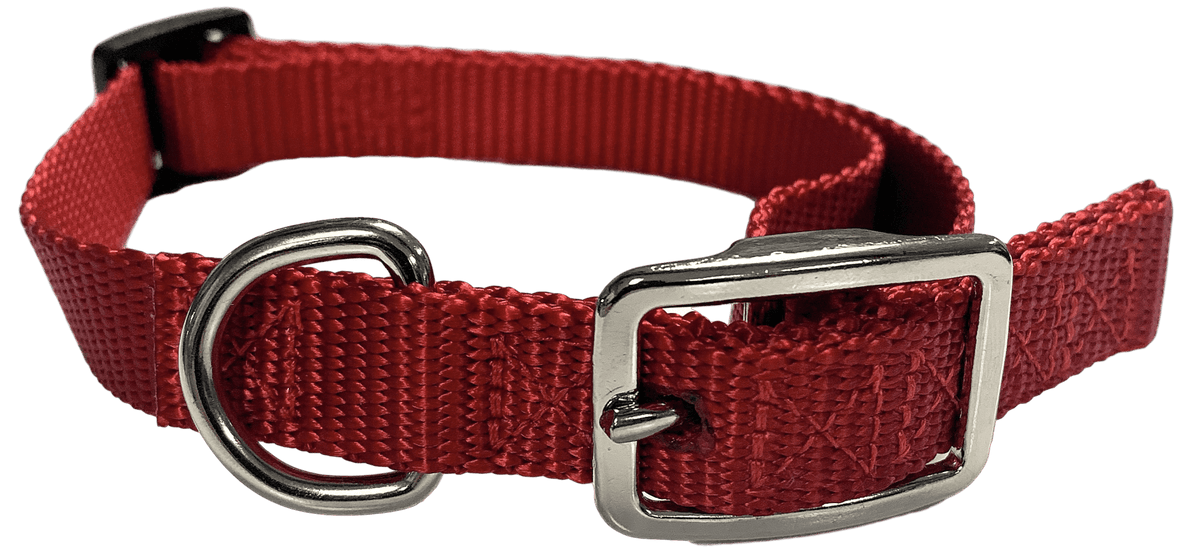 Flat Buckle Dog Collar (Adjustable)