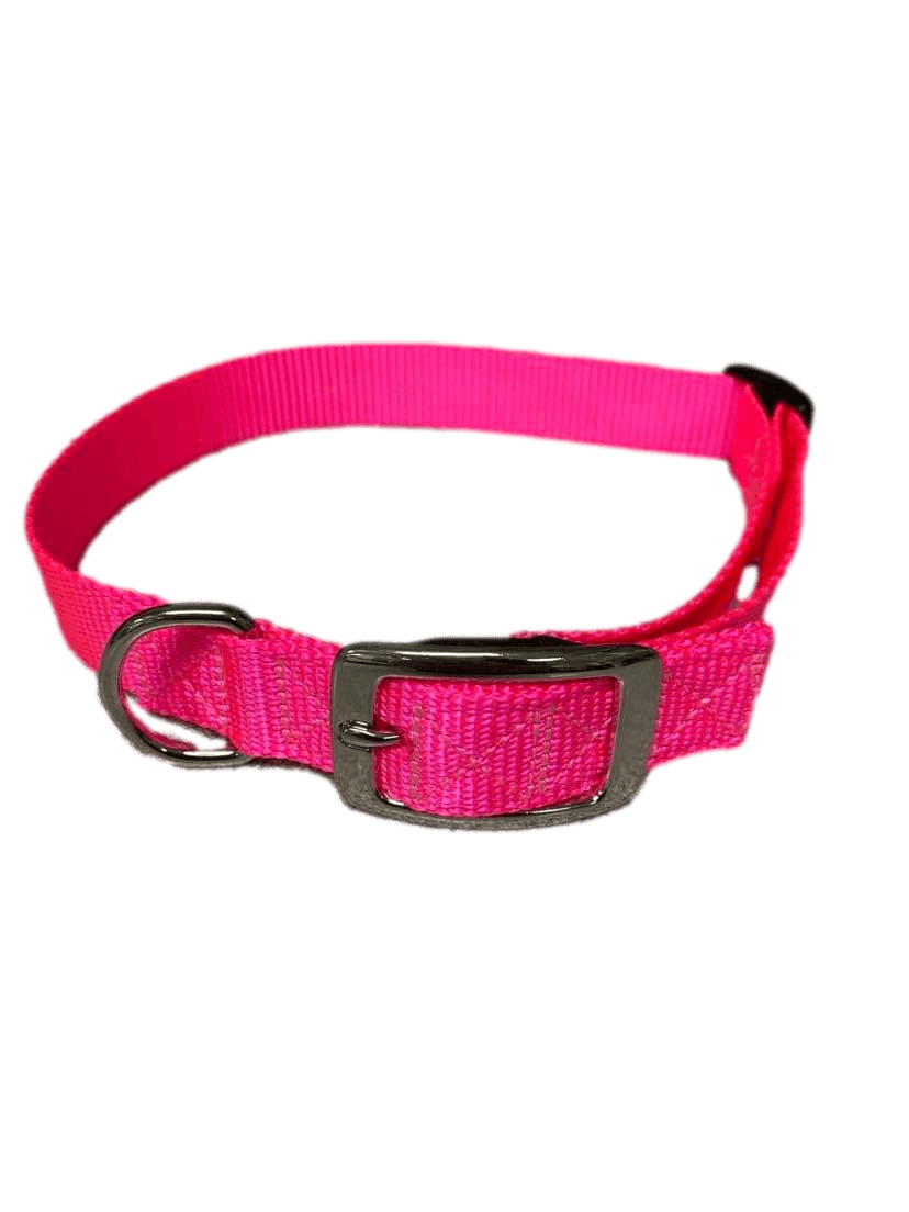 Flat Buckle Dog Collar (Adjustable)